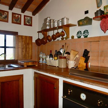 Appartamento Con Patio Privato E Giardino Tra Pisa E Firenze Palaia Luaran gambar