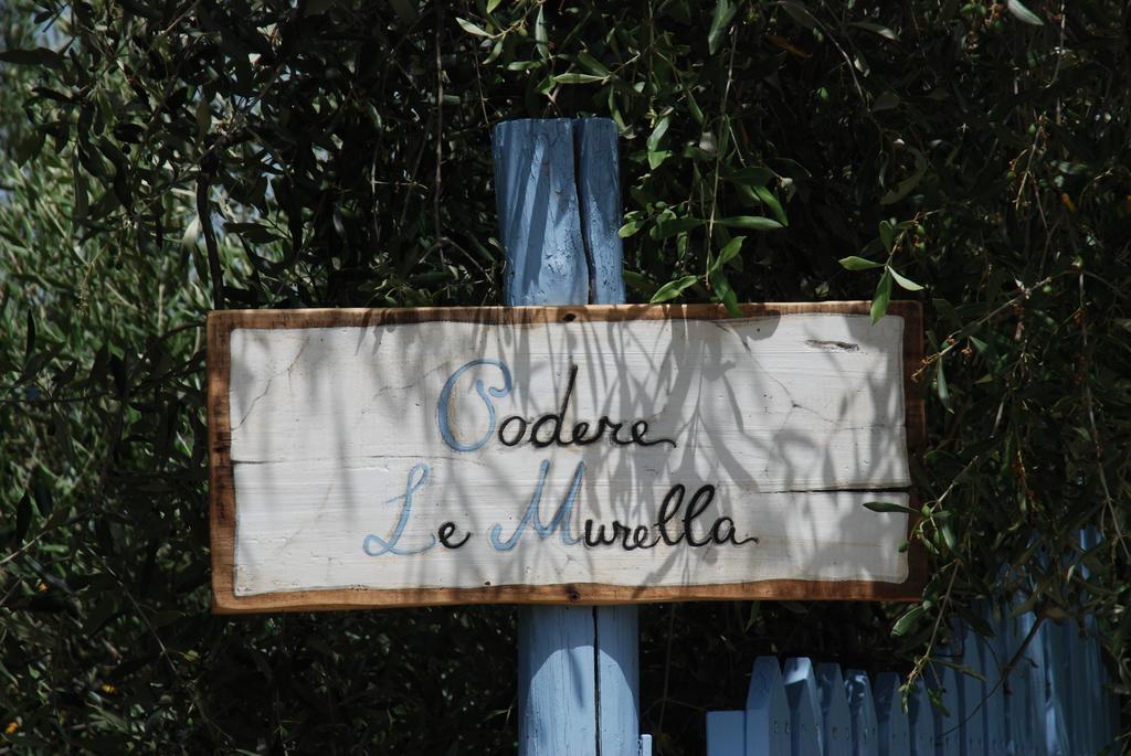 Appartamento Con Patio Privato E Giardino Tra Pisa E Firenze Palaia Luaran gambar