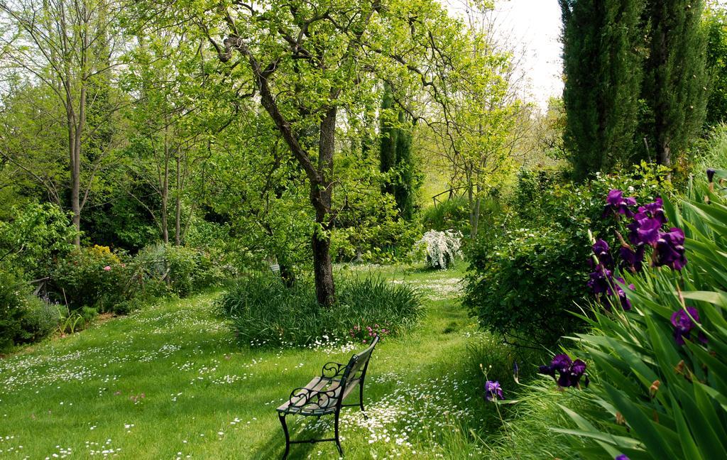 Appartamento Con Patio Privato E Giardino Tra Pisa E Firenze Palaia Luaran gambar