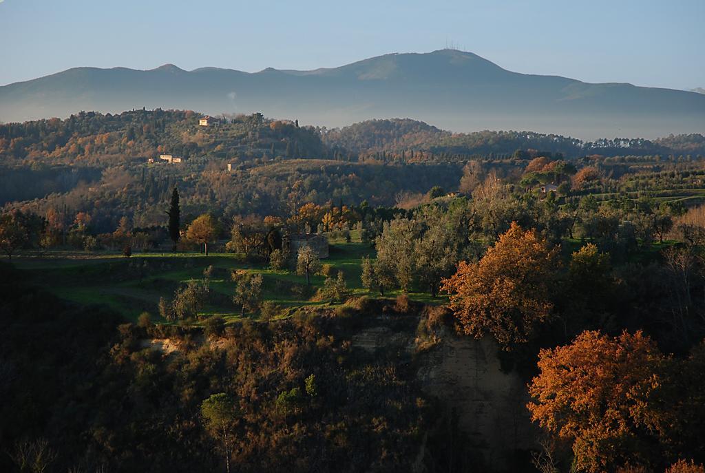 Appartamento Con Patio Privato E Giardino Tra Pisa E Firenze Palaia Luaran gambar