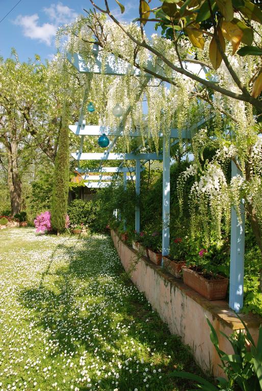 Appartamento Con Patio Privato E Giardino Tra Pisa E Firenze Palaia Luaran gambar